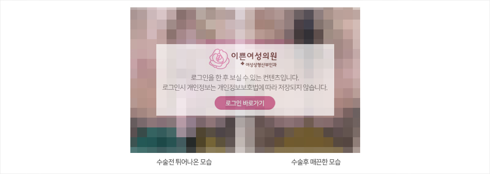 비회원