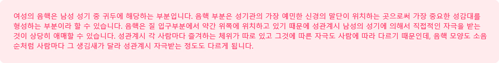 이미지명