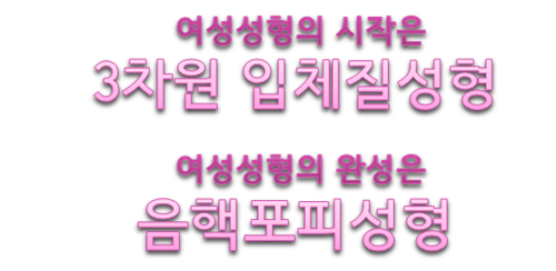 이미지명