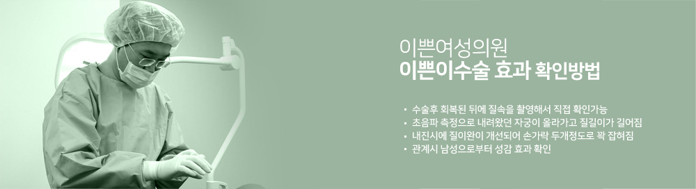 이미지명