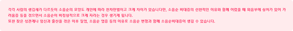 이미지명