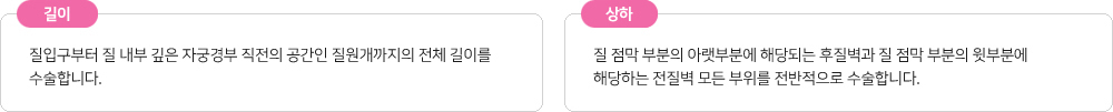 이미지명